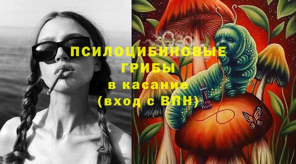 трава Надым