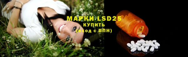 трава Надым