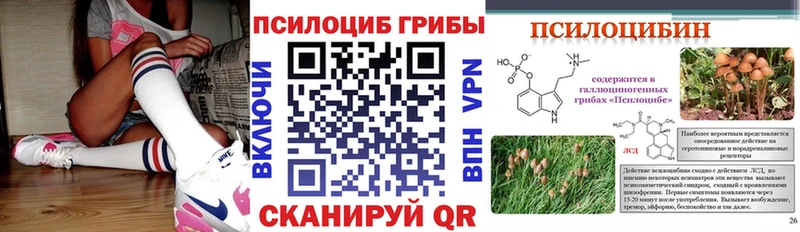 где продают наркотики  Североморск  Псилоцибиновые грибы Psilocybe 
